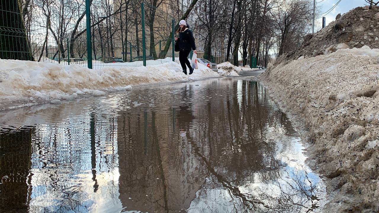 Москве предсказали оттепель