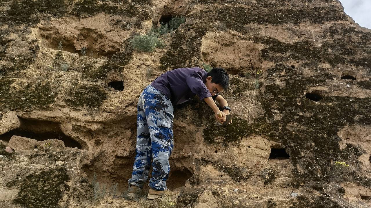 Лишайники и мхи защитили Великую Китайскую стену от эрозии