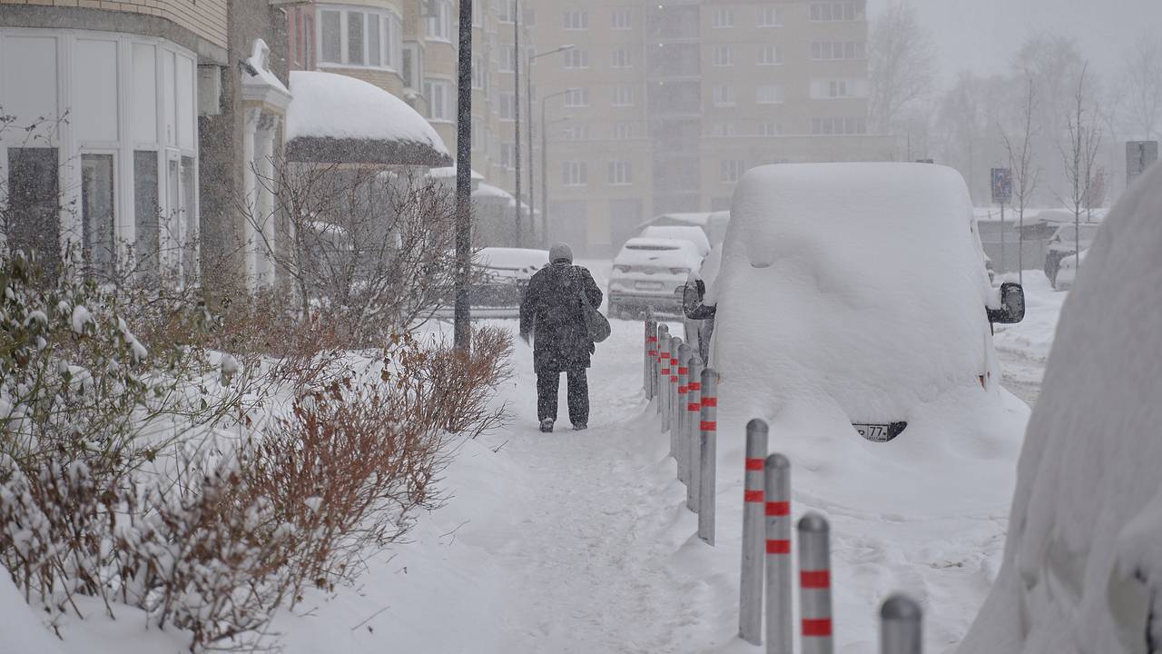 Москвичам пообещали рекордные сугробы и оттепель