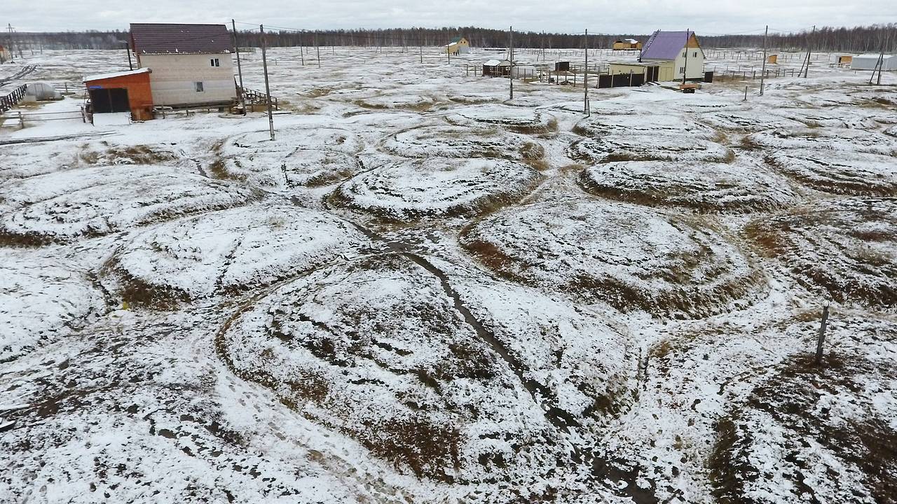 Кости неизвестных животных возрастом в миллионы лет нашли в российском регионе