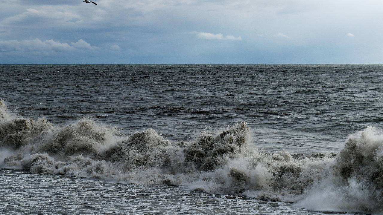 В Сочи суда перестали выходить в море из-за шторма