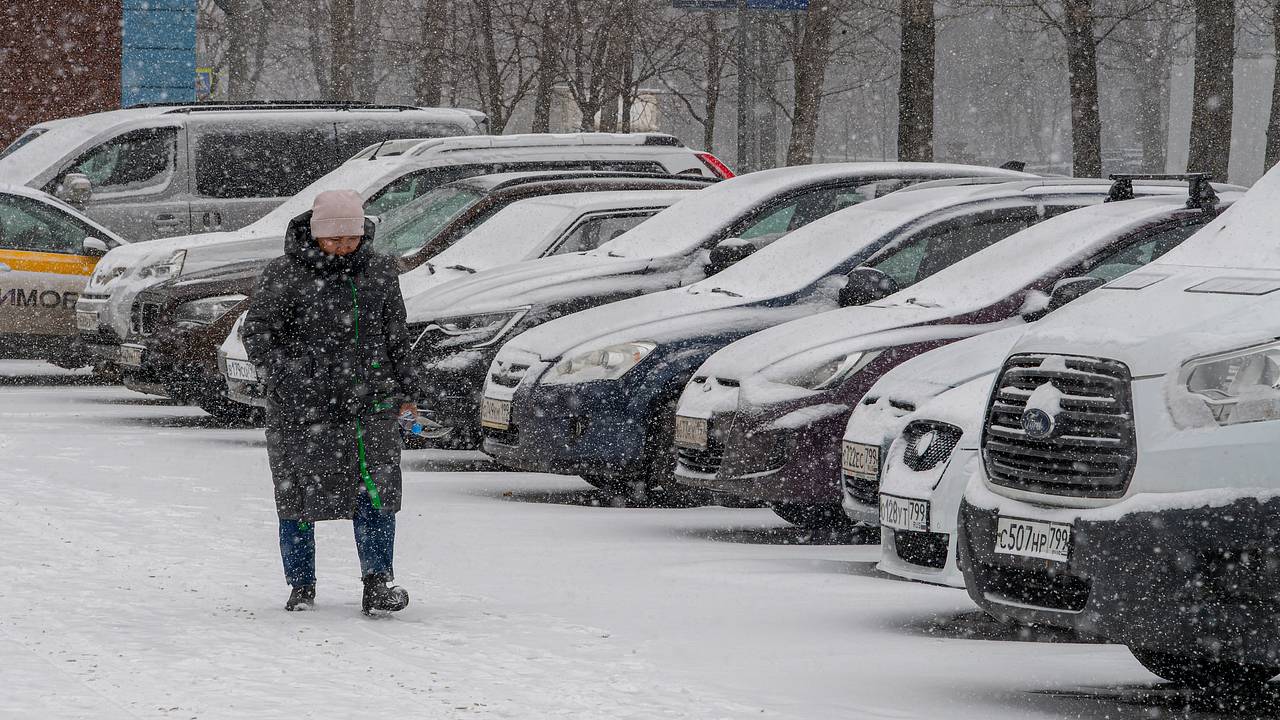 Москвичам пообещали бесплатные парковки