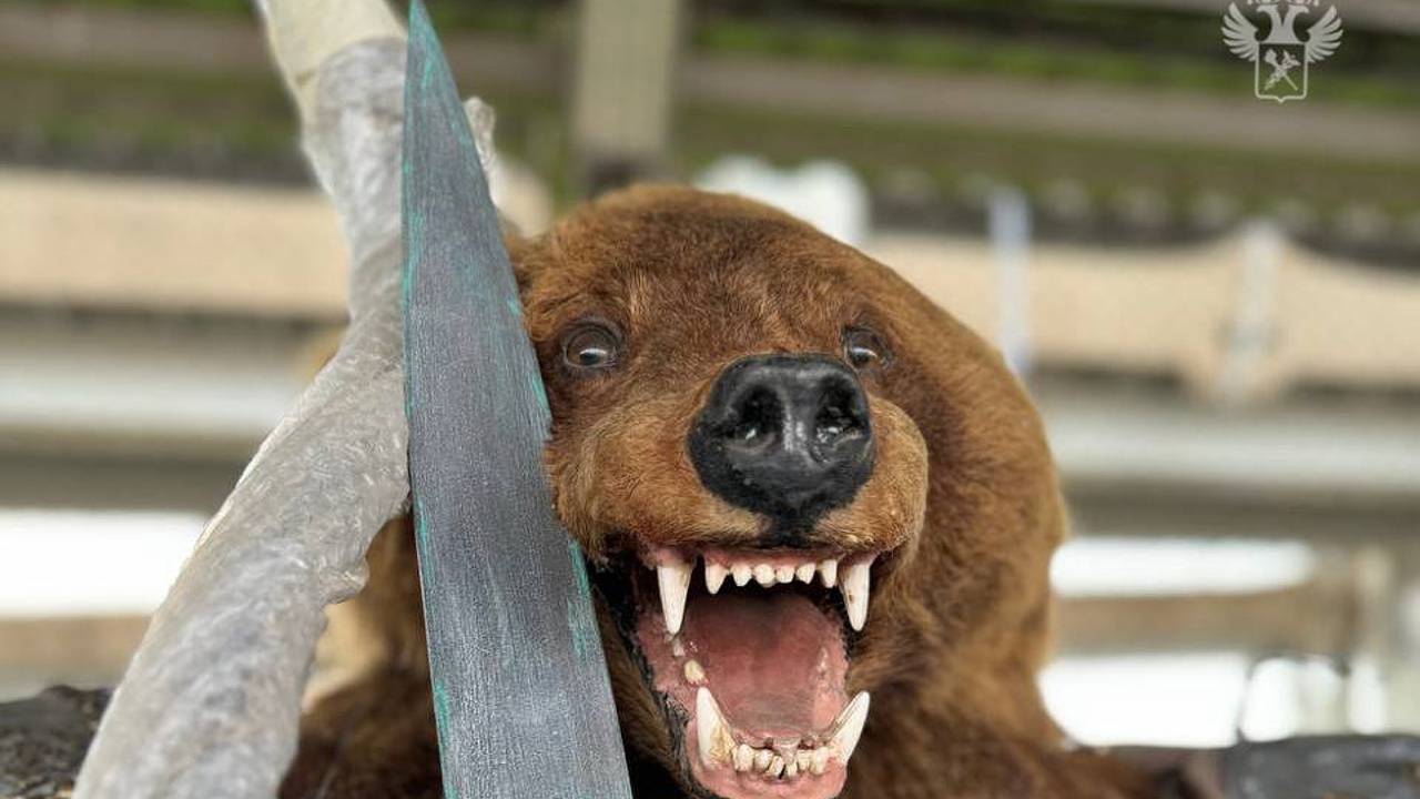 Российские таможенники задержали статую медведя-воина из дериватов