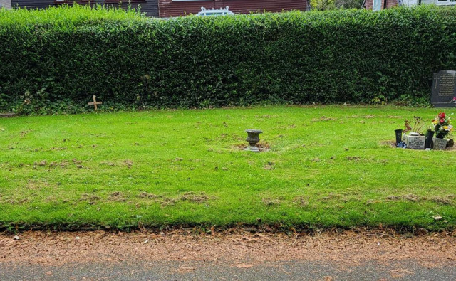 В Британии нашли массовое захоронение новорожденных