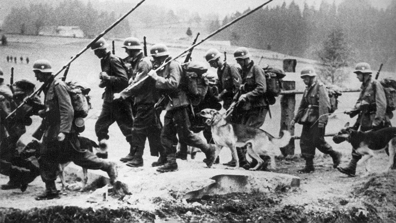 Раскрыты данные о дрессировке собак на заключенных концлагерей в Донбассе