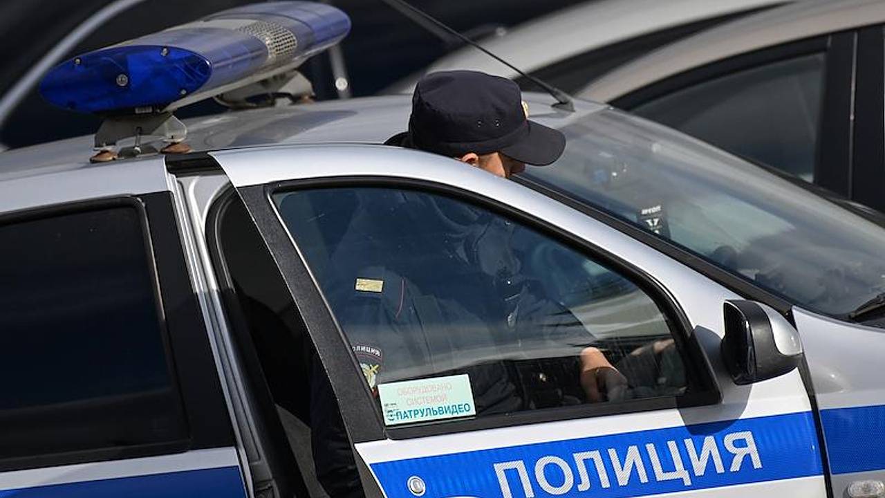 Полиция обнаружила в Подмосковье засаженные коноплей гектары земли