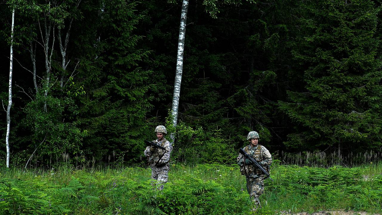 В Латвии прокомментировали падение российского дрона в стране