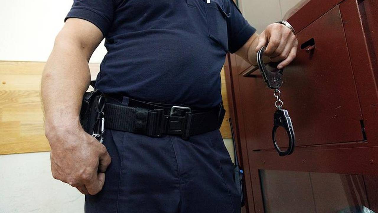 Несовершеннолетнего мигранта задержали за изнасилование 12-летней соотечественницы