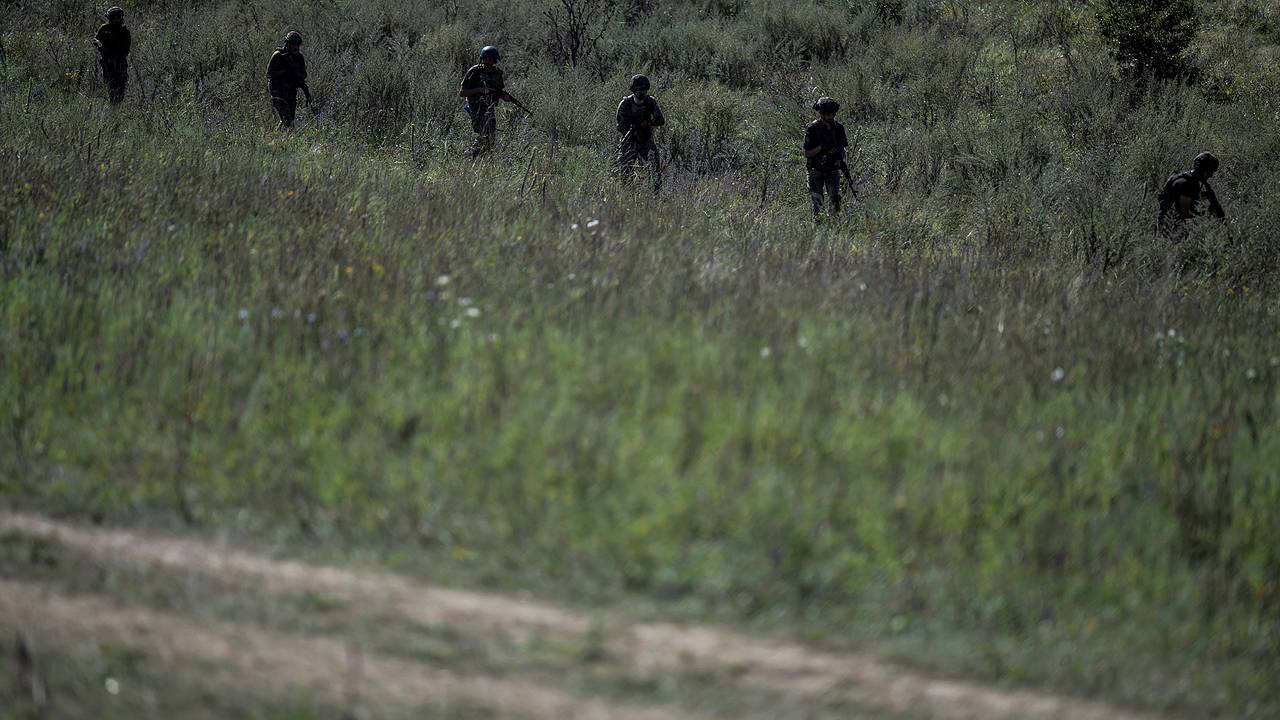 Украинцам за границей разослали предложения вступить в добровольческий легион ВСУ