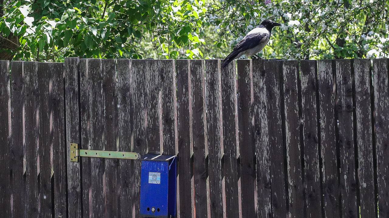 Россияне рискуют лишиться дачи по новому закону об освоении земли. Власти разъяснили, как этого избежать