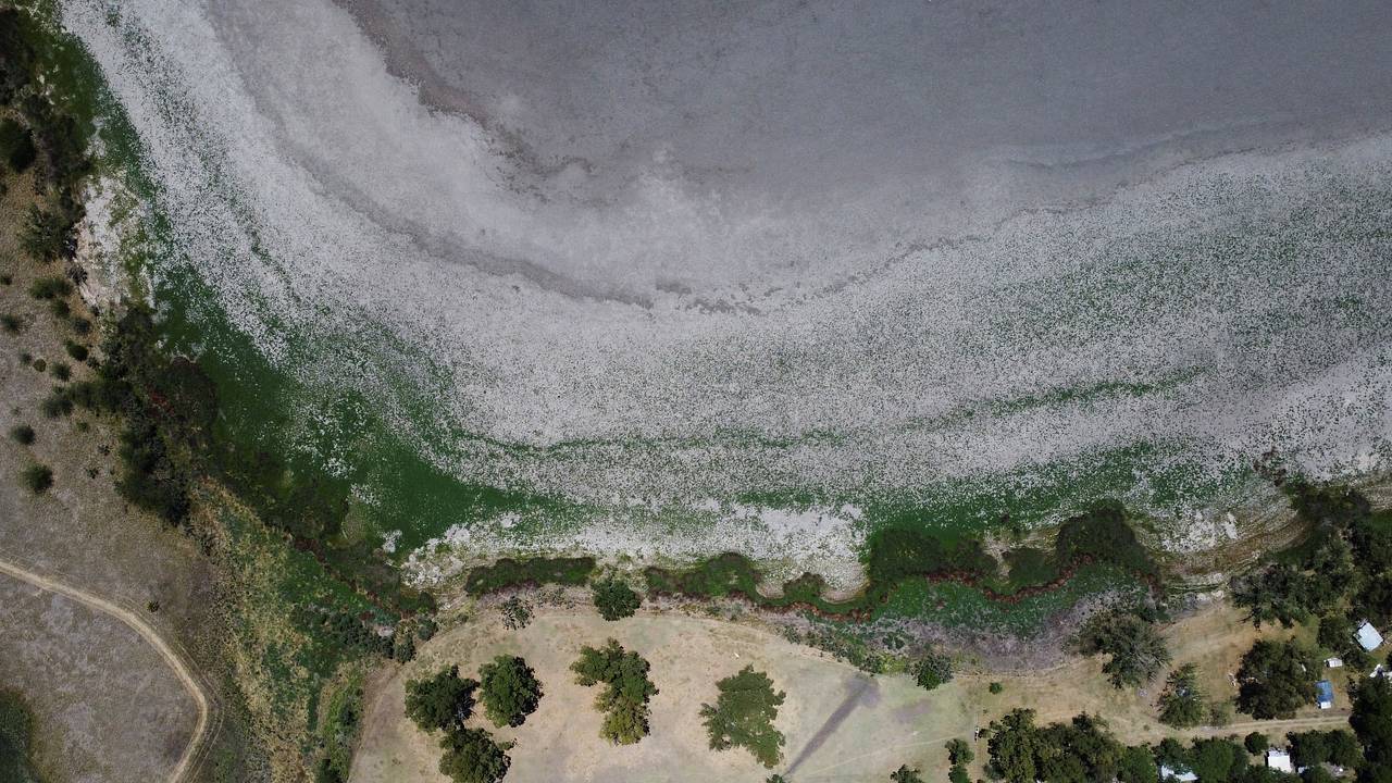 Вероятность наступления Ла-Нинья оценили