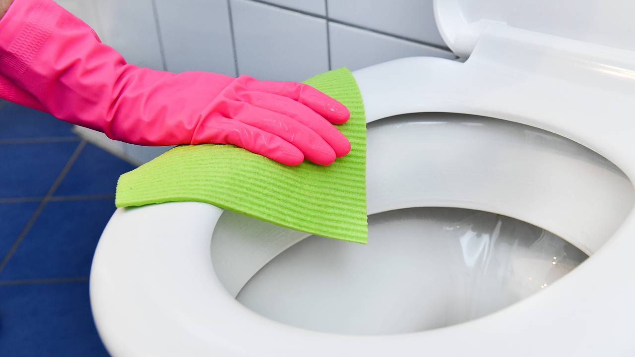 Названы эффективные способы очистить унитаз