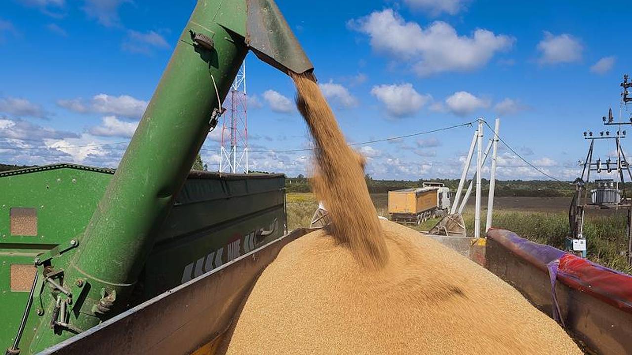 Мировым ценам на пшеницу спрогнозировали рост