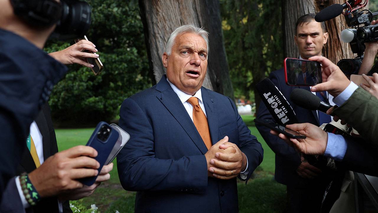 Политолог высказался о шансах Орбана урегулировать конфликт России и Украины