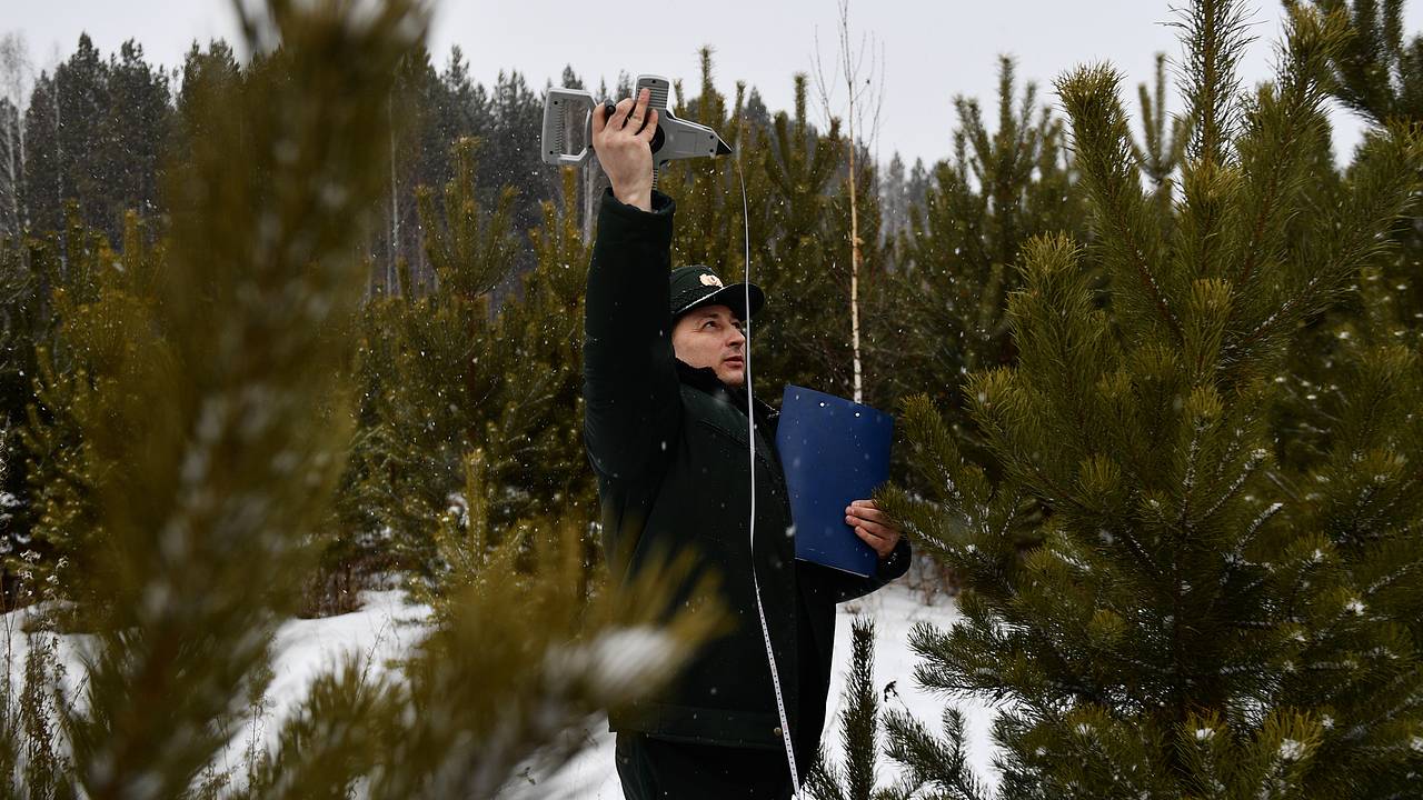 15 сентября: какой праздник сегодня отмечают в России и мире