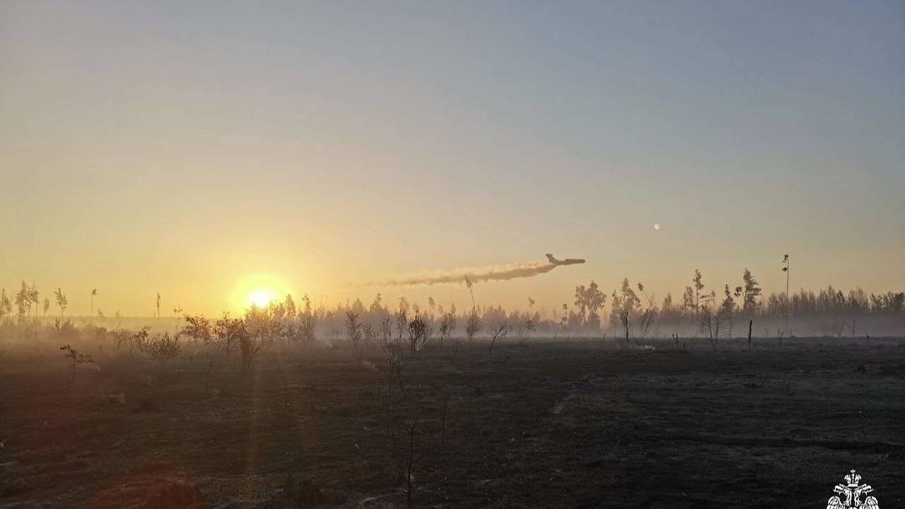 Ландшафтный пожар локализовали в Воронежской области