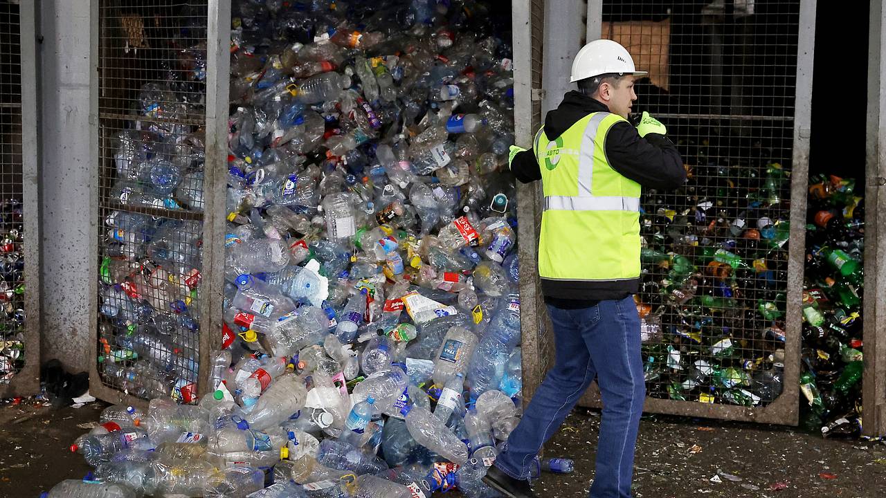 Оценен объем сортировки отходов в России