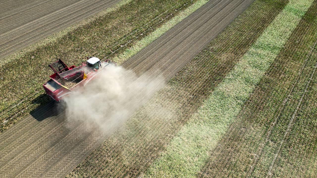 Молдавия обратилась к ЕС из-за проблем в сельском хозяйстве