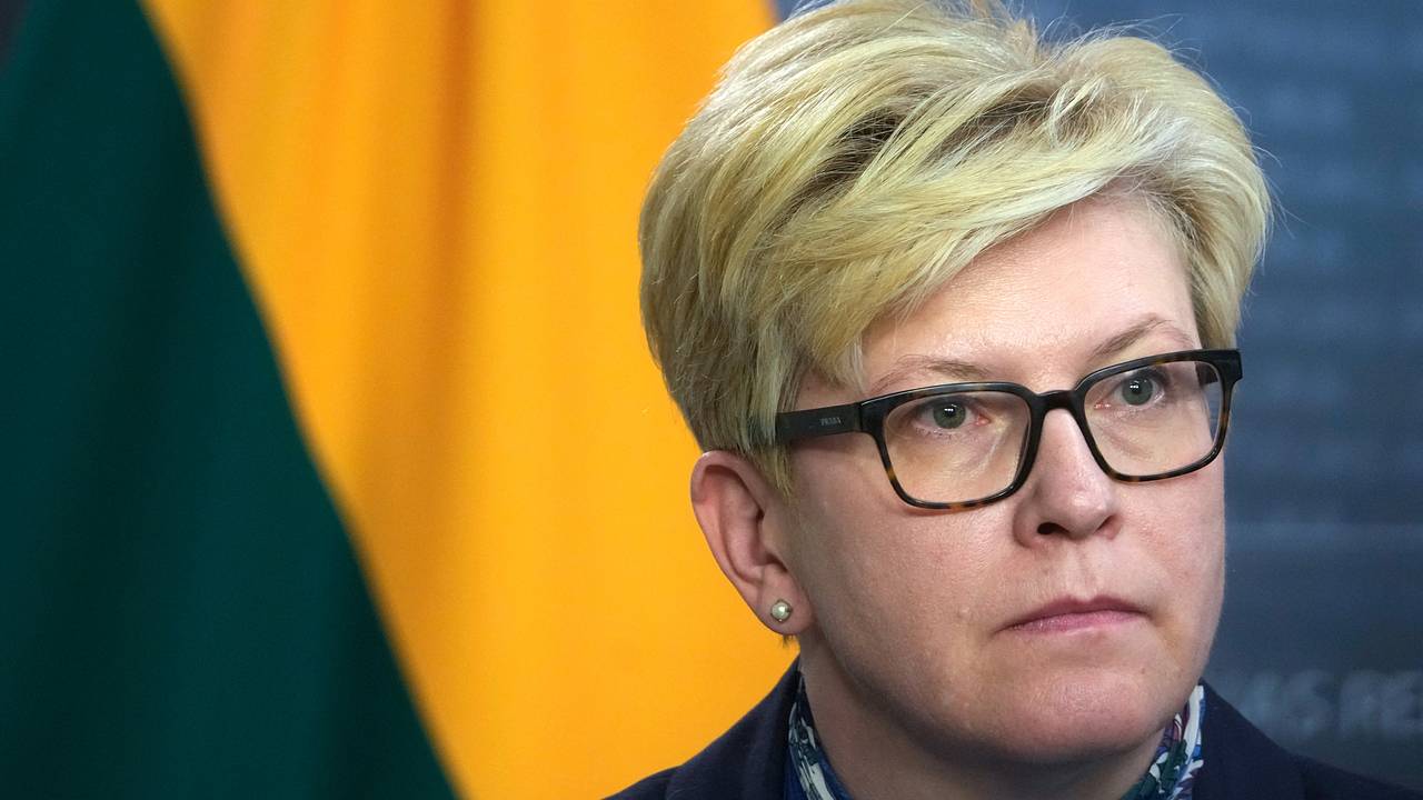 Премьер Литвы согласилась с мнением Трампа о Евросоюзе