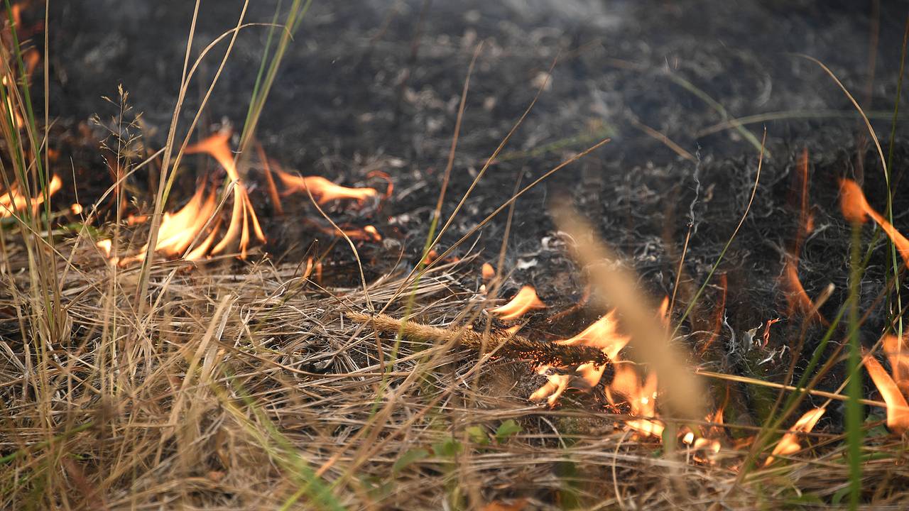 Москвичей напугали пожарами из-за жары