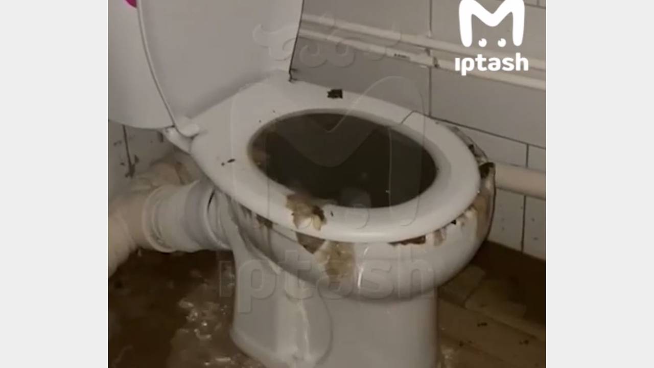 Комитет по защите прав инвалидов затопило фекалиями