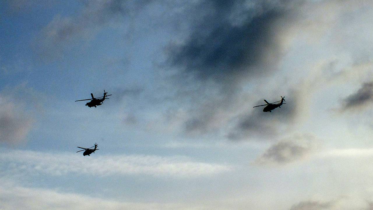 Птицы из Белоруссии встревожили латвийские истребители