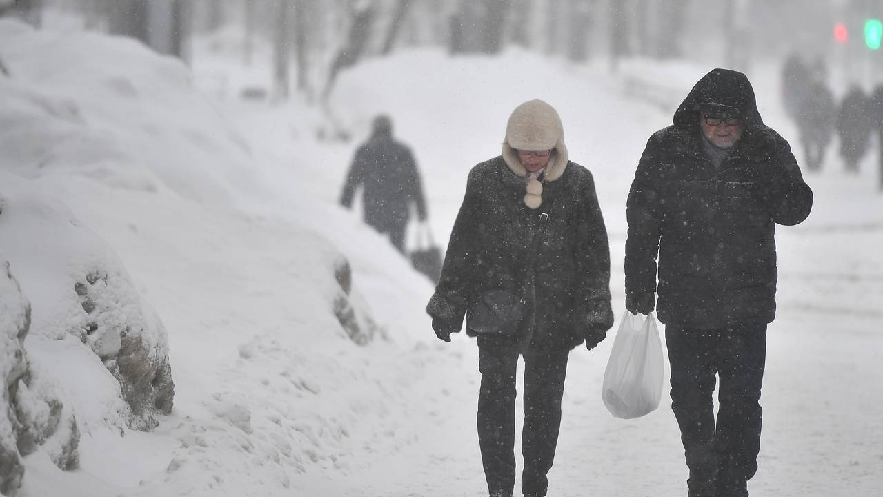 Синоптик предупредила об угрозе московским абрикосам из-за погоды