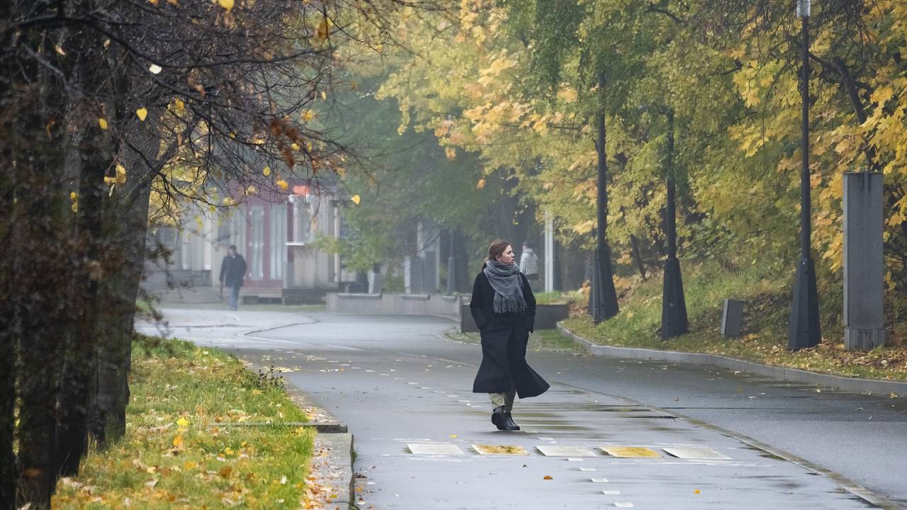 Москвичей предупредили о риске остаться без золотой осени