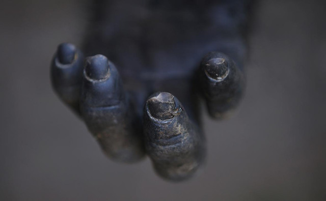 Жители Гвинеи разгромили центр зоологов после убийства обезьяной ребенка