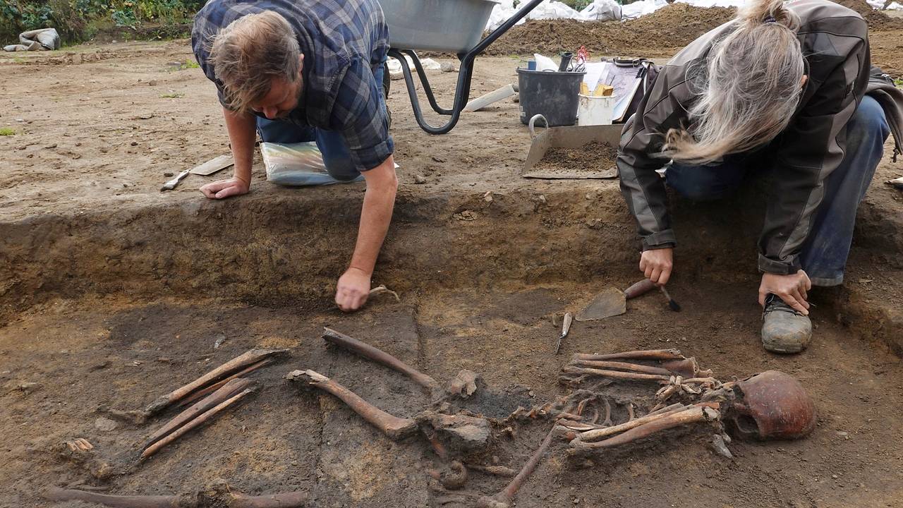 Археологи нашли 50 хорошо сохранившихся скелетов викингов