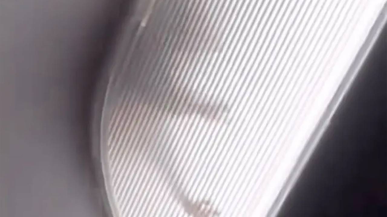 Суперкрыса проникла на борт самолета, напугала пассажиров и попала на видео