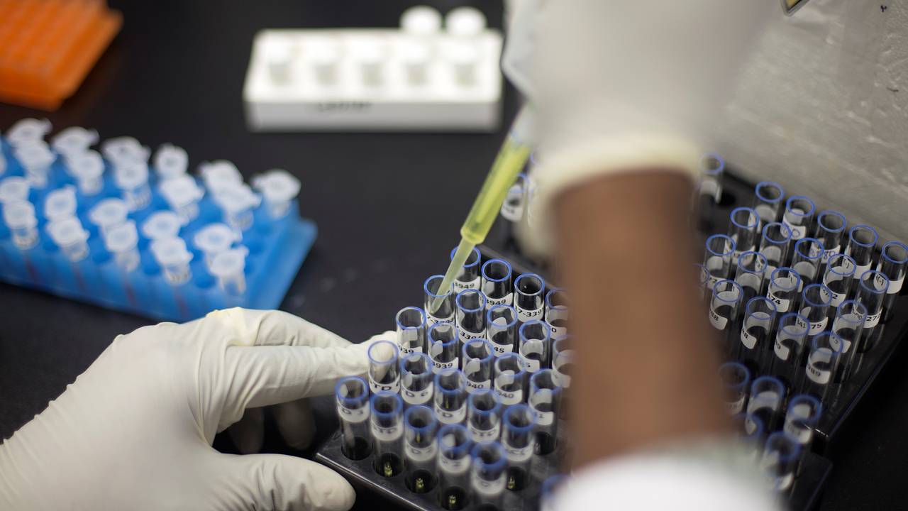 В Госдуме оценили попытки украинской атлетки оправдаться за допинг антироссийской позицией