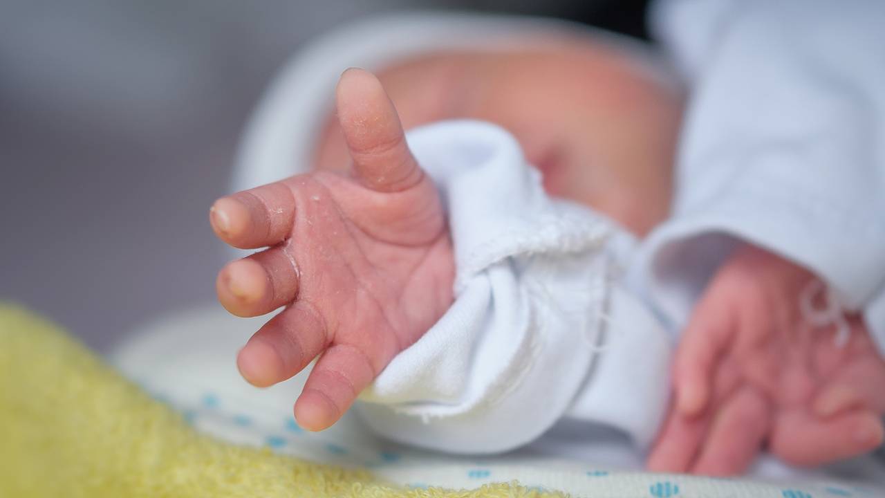 Женщина попыталась продать новорожденного сына на аукционе