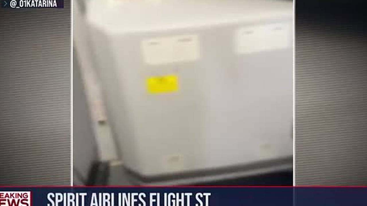 Последствия обстрела летевшего в США пассажирского самолета попали на видео