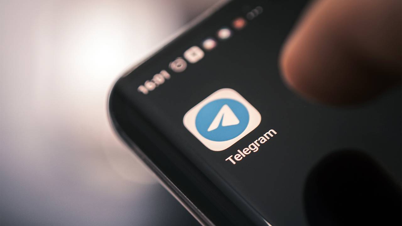 В Telegram запустили канал для поставщиков российского Заполярья