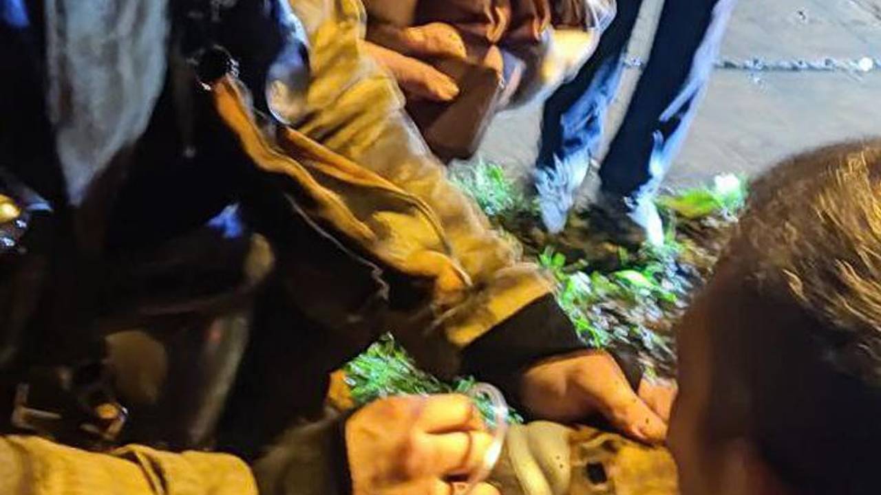 Сотрудники МЧС спасли из пожара собаку и дали ей подышать из маски