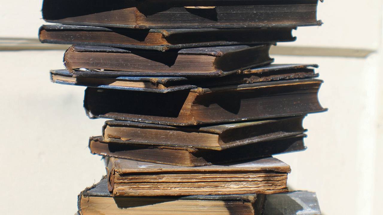 В Киеве сдали на макулатуру почти полторы тонны книг русских классиков