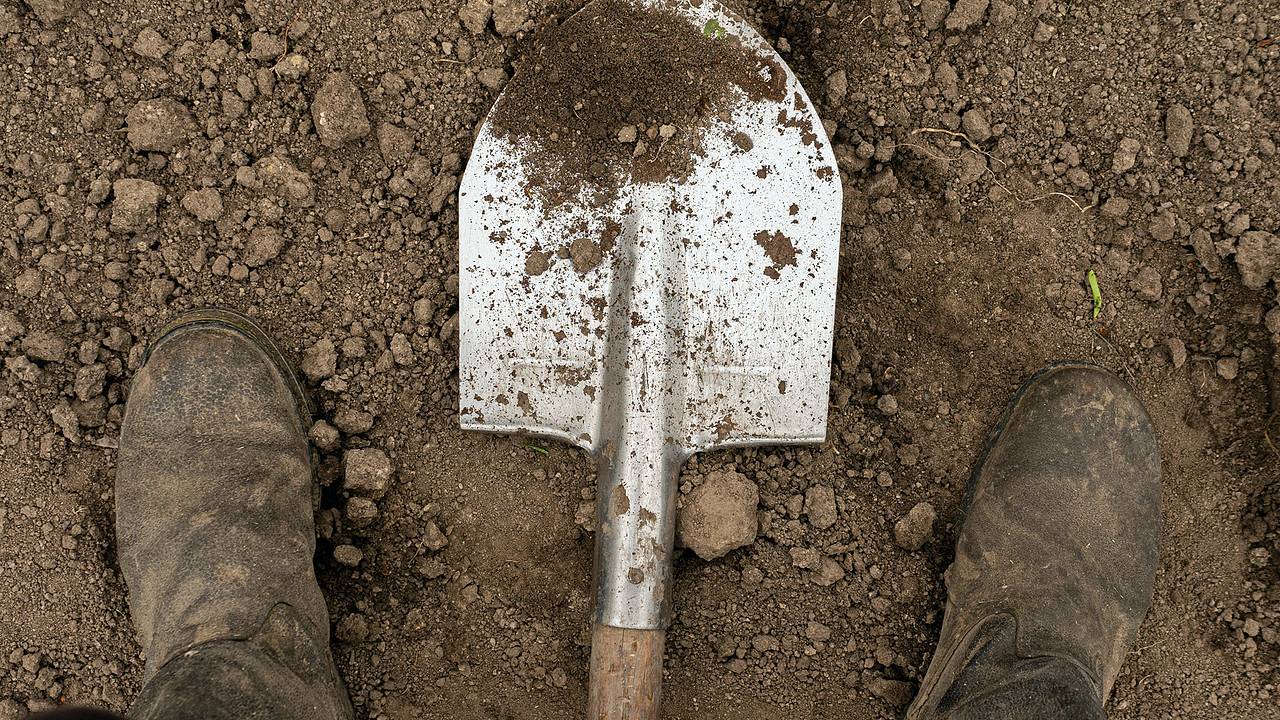 Кладоискатель нашел украденные нацистами 800 легендарных шедевров