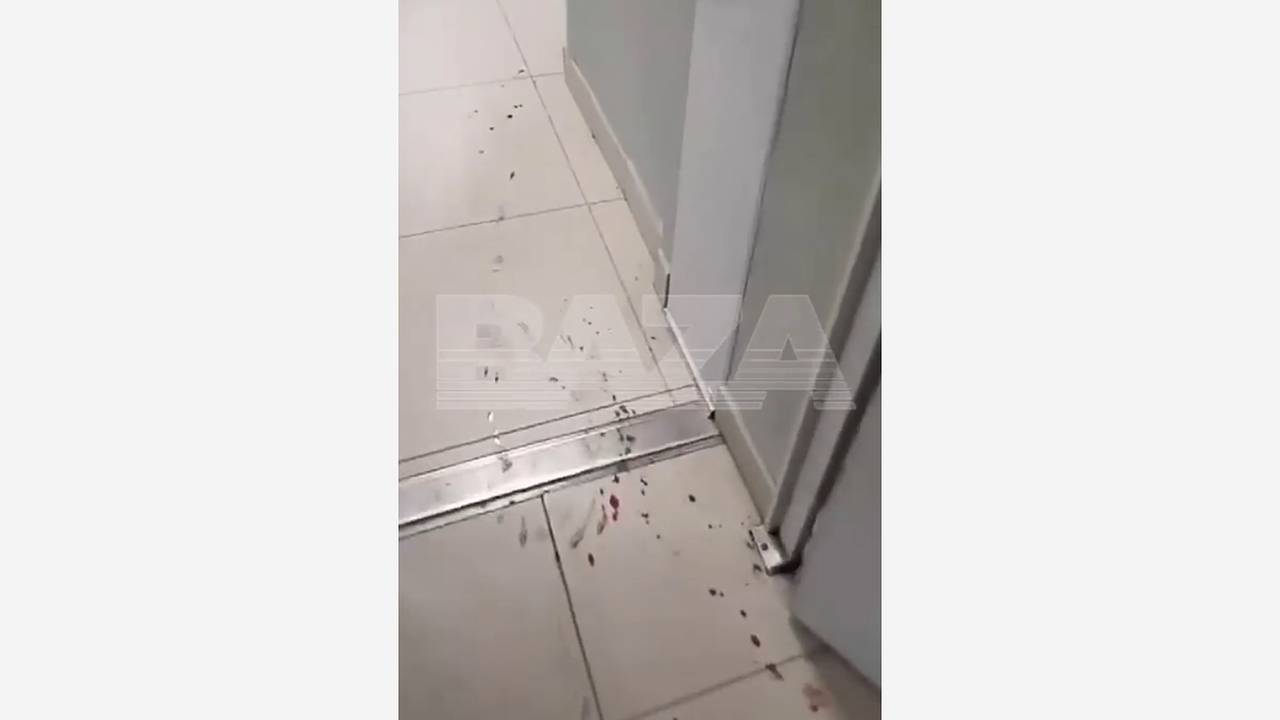 Раскрыта причина вооруженного нападения ученика в российской школе