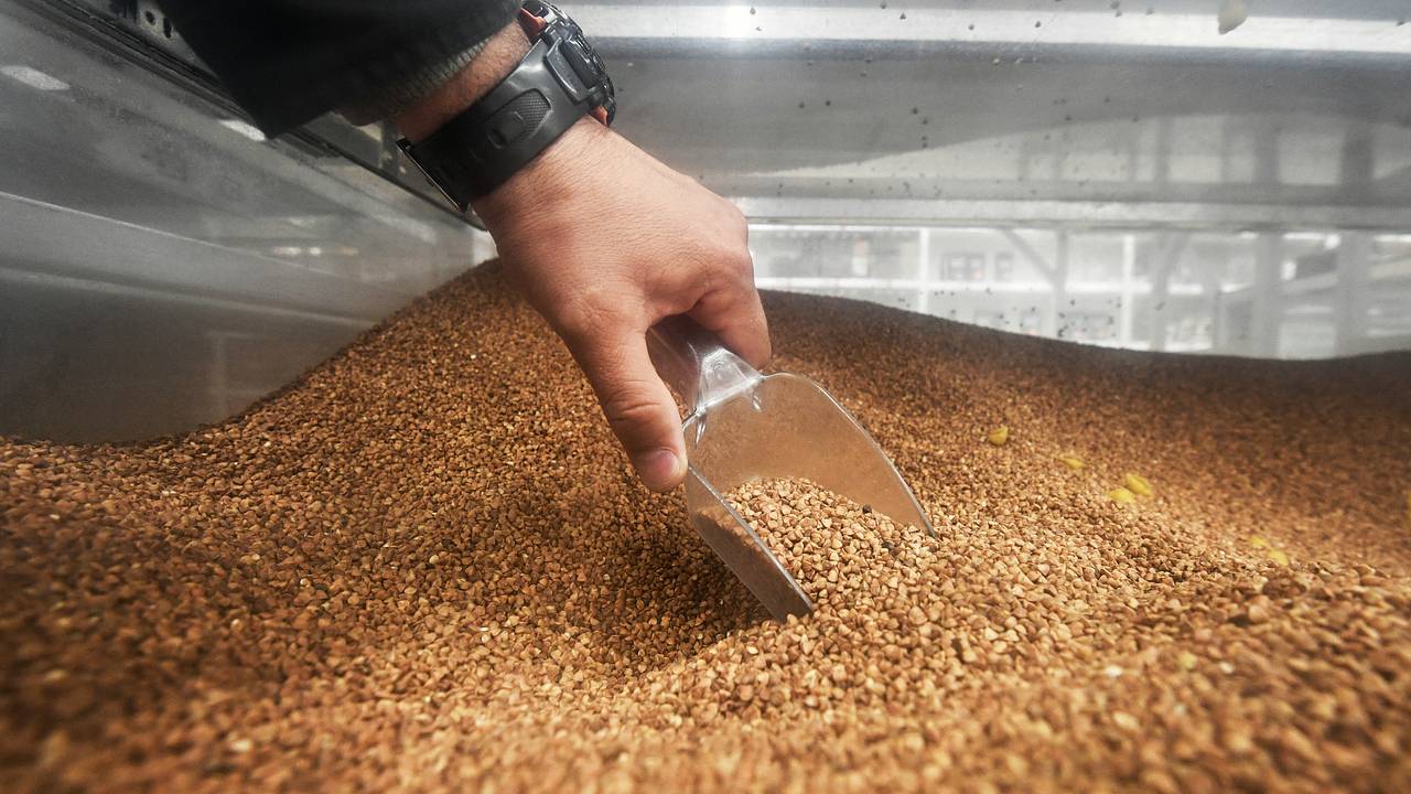 Белоруссия запретила ввоз и продажу российской гречки. В чем причина?