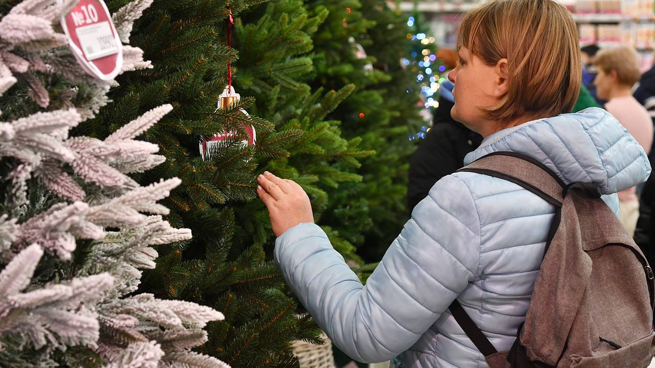 Назван самый токсичный вид искусственных елок