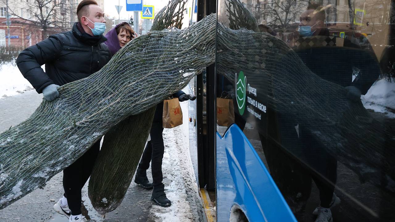 Москвичам напомнили правила перевозки елок в автобусах