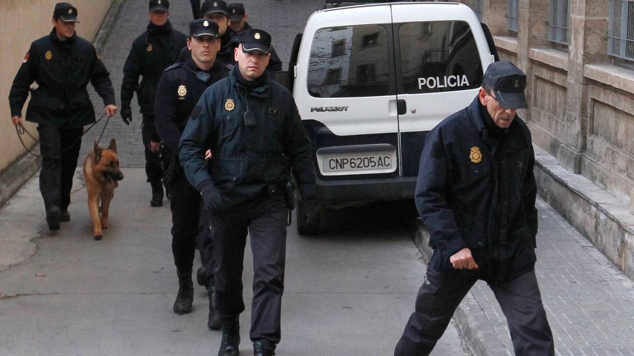 Женщина сбила на машине туристку в канун Рождества и избежала тюрьмы