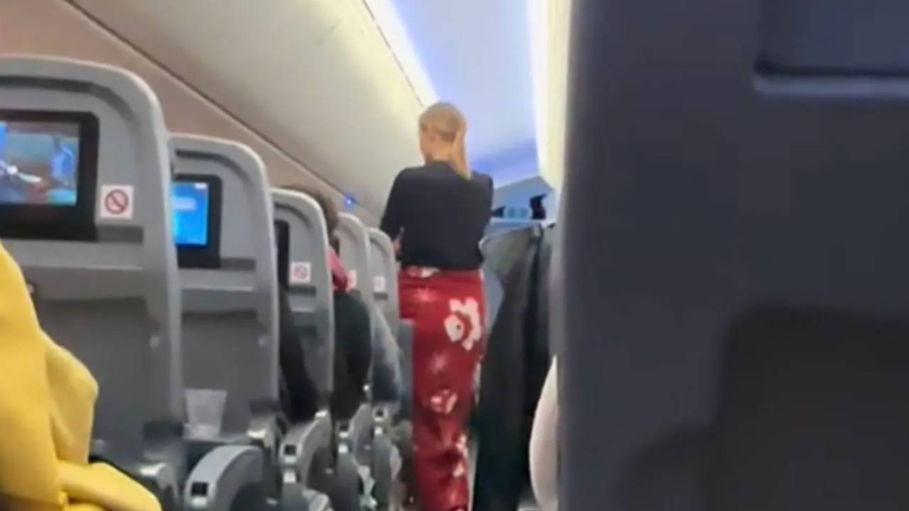 Пассажирка провела семичасовой полет стоя и вызвала жаркие споры в сети