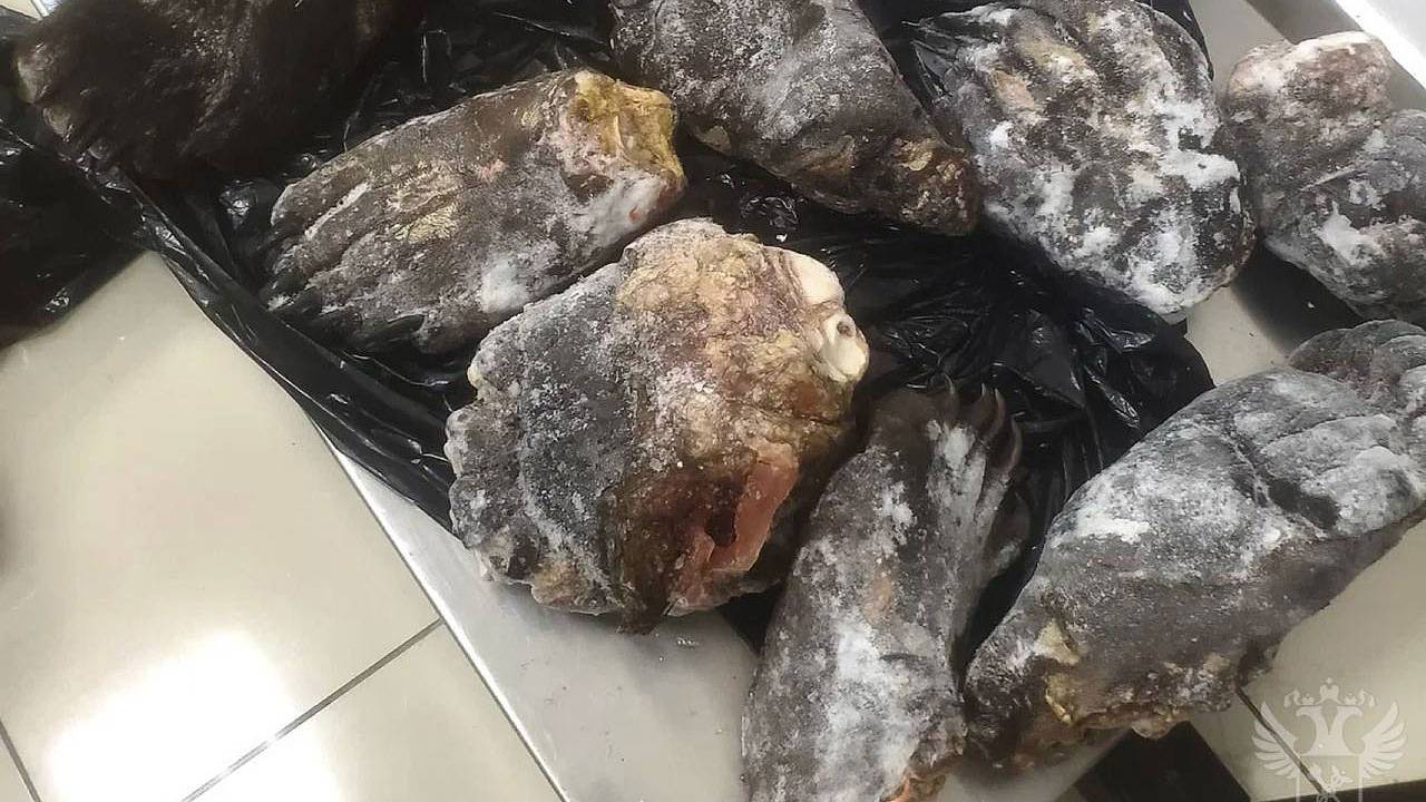 Более десятка медвежьих лап нашли в багаже летевшего в Северную Корею пассажира