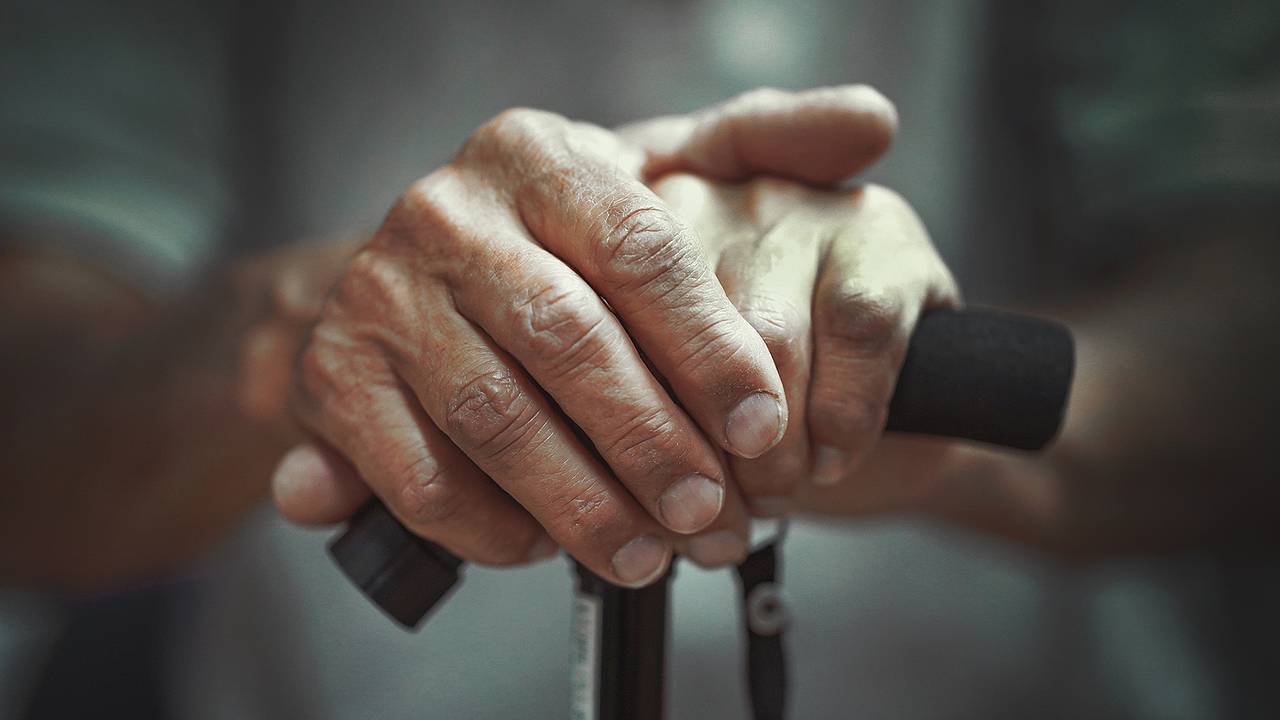 85-летний мужчина отправился в двухнедельный поход из-за пропавшего сына