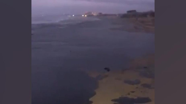 Пляжи в Анапе покрыло сплошным черным слоем мазута. Видео