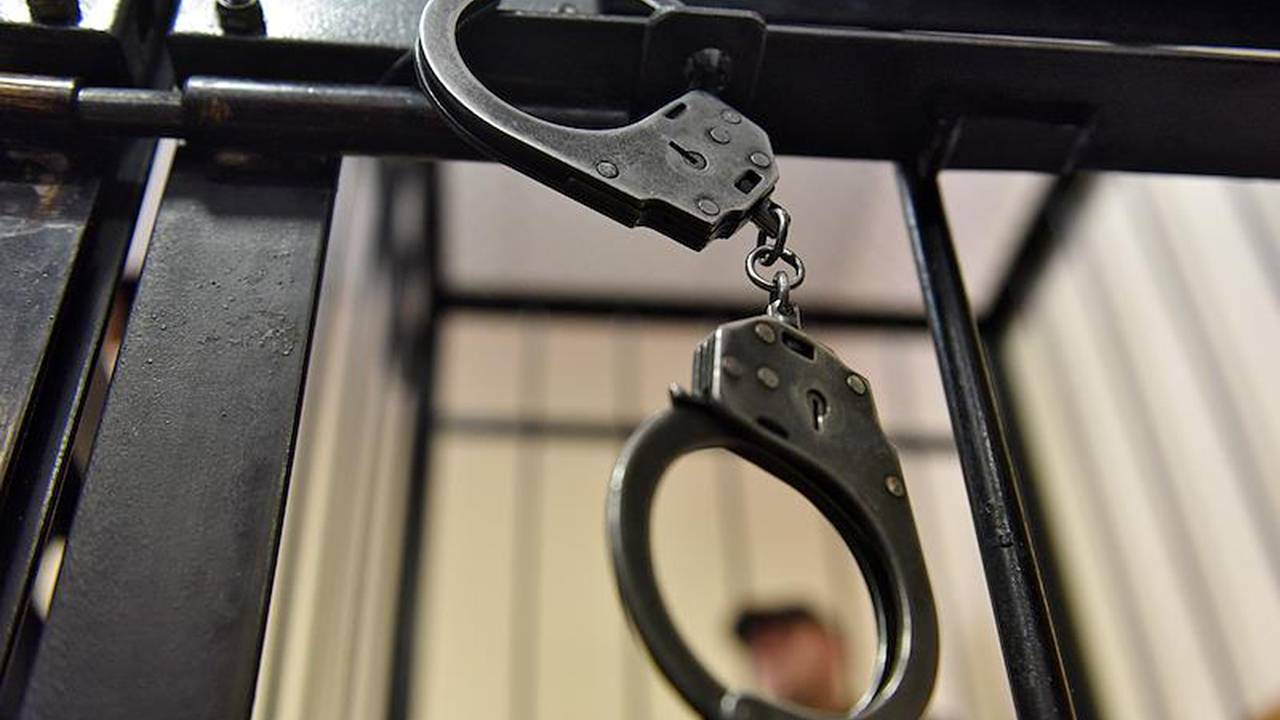 Брат Емельяненко получил полтора года тюрьмы