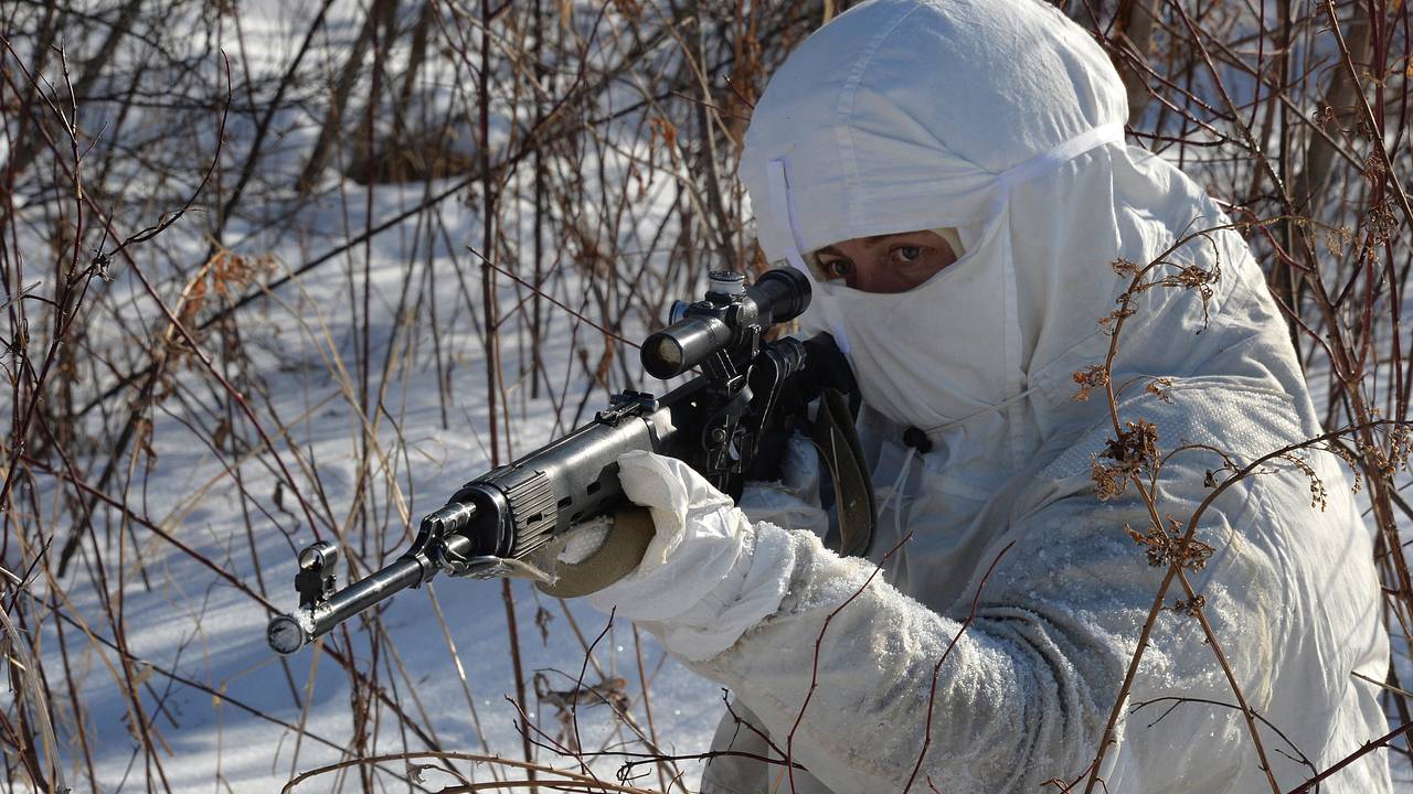 В США российскую СВД включили в число лучших