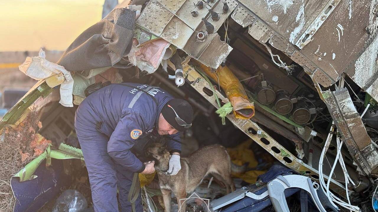 AZAL объяснила катастрофу своего лайнера внешним техническим воздействием. Росавиация ранее заявляла о птицах